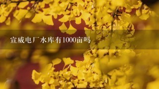 宣威电厂水库有1000亩吗 宣威电厂水库有1000亩吗