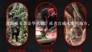沈阳哪有卖金华火腿,或者宣威火腿的地方。求告知谢 沈阳哪有卖金华火腿,或者宣威火腿的地方。求告知谢