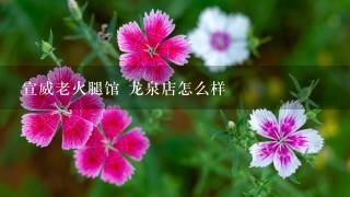 宣威老火腿馆 龙泉店怎么样 宣威老火腿馆 龙泉店怎么样