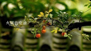 火腿的吃法 火腿的吃法