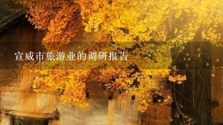 宣威市旅游业的调研报告 宣威市旅游业的调研报告