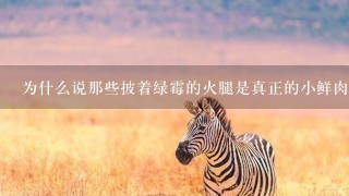为什么说那些披着绿霉的火腿是真正的小鲜肉? 为什么说那些披着绿霉的火腿是真正的小鲜肉?