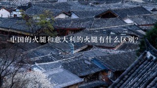 中国的火腿和意大利的火腿有什么区别? 中国的火腿和意大利的火腿有什么区别?