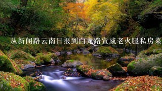 从新闻路云南日报到白龙路宣威老火腿私房菜怎么坐车 从新闻路云南日报到白龙路宣威老火腿私房菜怎么坐车