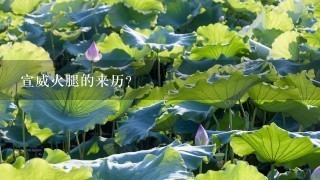 宣威火腿的来历? 宣威火腿的来历?