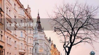 宣威火腿的来历 宣威火腿的来历