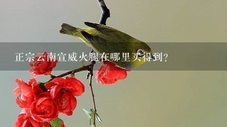 正宗云南宣威火腿在哪里买得到? 正宗云南宣威火腿在哪里买得到?