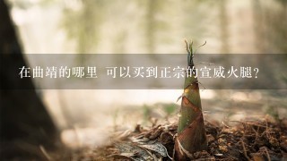 在曲靖的哪里 可以买到正宗的宣威火腿? 在曲靖的哪里 可以买到正宗的宣威火腿?