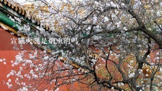 宣威火腿是烟熏的吗 宣威火腿是烟熏的吗