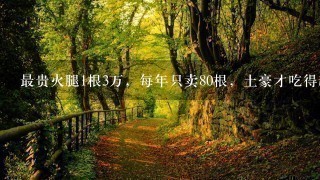 最贵火腿1根3万,每年只卖80根,土豪才吃得起! 最贵火腿1根3万,每年只卖80根,土豪才吃得起!