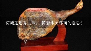 荷塘莲连雾生烟,一潭碧水芙蓉面的意思? 荷塘莲连雾生烟,一潭碧水芙蓉面的意思?