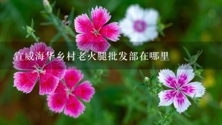 宣威海华乡村老火腿批发部在哪里 宣威海华乡村老火腿批发部在哪里