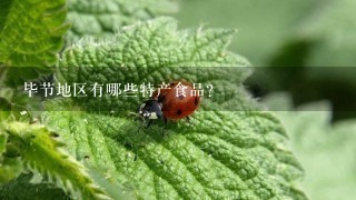 毕节地区有哪些特产食品? 毕节地区有哪些特产食品?