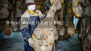 华为pot al00a是什么型号手机? 华为pot al00a是什么型号手机?