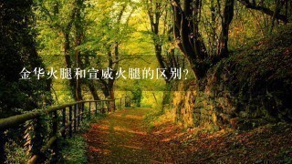 金华火腿和宣威火腿的区别? 金华火腿和宣威火腿的区别?