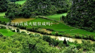 正宗的宣威火腿很咸吗? 正宗的宣威火腿很咸吗?