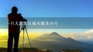 一只大点的宣威火腿多少斤 一只大点的宣威火腿多少斤