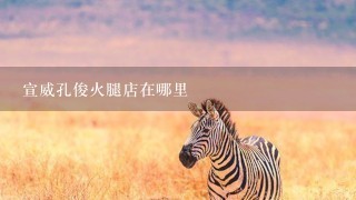 宣威孔俊火腿店在哪里 宣威孔俊火腿店在哪里