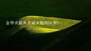 金华火腿和宣威火腿的区别? 金华火腿和宣威火腿的区别?