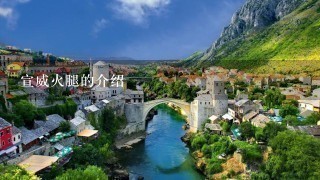 宣威火腿的介绍 宣威火腿的介绍