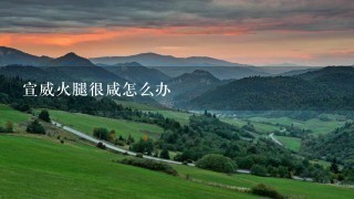 宣威火腿很咸怎么办 宣威火腿很咸怎么办