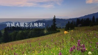 宣威火腿怎么腌制? 宣威火腿怎么腌制?