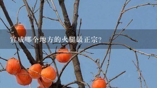 宣威哪个地方的火腿最正宗? 宣威哪个地方的火腿最正宗?