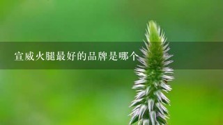 宣威火腿最好的品牌是哪个 宣威火腿最好的品牌是哪个