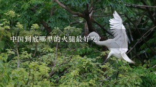 中国到底哪里的火腿最好吃? 中国到底哪里的火腿最好吃?