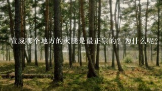 宣威哪个地方的火腿是最正宗的?为什么呢? 宣威哪个地方的火腿是最正宗的?为什么呢?