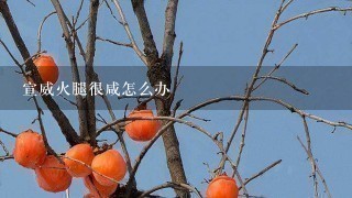 宣威火腿很咸怎么办 宣威火腿很咸怎么办