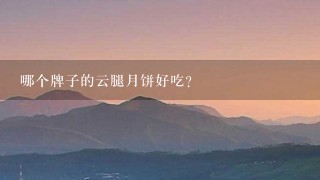哪个牌子的云腿月饼好吃? 哪个牌子的云腿月饼好吃?