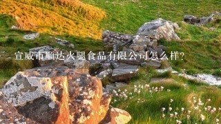 宣威市顺达火腿食品有限公司怎么样? 宣威市顺达火腿食品有限公司怎么样?