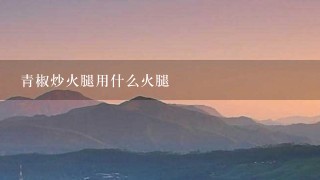 青椒炒火腿用什么火腿 青椒炒火腿用什么火腿