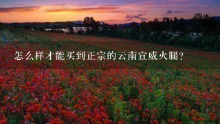 怎么样才能买到正宗的云南宣威火腿? 怎么样才能买到正宗的云南宣威火腿?
