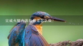 宣威火腿肉蒸娃娃菜怎么做? 宣威火腿肉蒸娃娃菜怎么做?