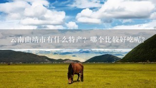 云南曲靖市有什么特产?哪个比较好吃呢? 云南曲靖市有什么特产?哪个比较好吃呢?