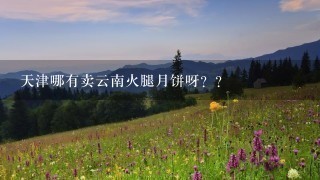 天津哪有卖云南火腿月饼呀?? 天津哪有卖云南火腿月饼呀??