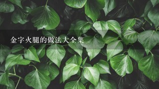 金字火腿的做法大全集 金字火腿的做法大全集