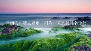 云南的曲靖宣威市,因为一只火腿驰名中外,这到底是 云南的曲靖宣威市,因为一只火腿驰名中外,这到底是