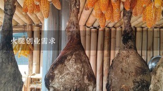 火腿创业需求 火腿创业需求