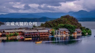 宣威火腿的介绍 宣威火腿的介绍