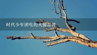 时代少年团吃的火腿品牌 时代少年团吃的火腿品牌