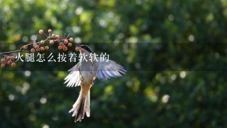 火腿怎么按着软软的 火腿怎么按着软软的