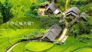 干炒宣威火腿? 干炒宣威火腿?