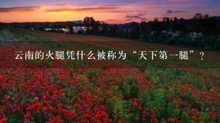 云南的火腿凭什么被称为“天下第一腿”? 云南的火腿凭什么被称为“天下第一腿”?