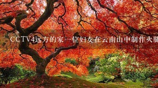 CCTV4远方的家一位妇女在云南山中制作火腿 CCTV4远方的家一位妇女在云南山中制作火腿