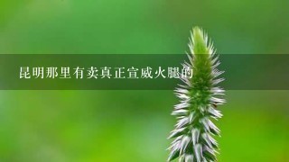 昆明那里有卖真正宣威火腿的 昆明那里有卖真正宣威火腿的