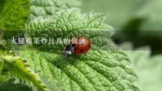 火腿榄菜炒丝瓜的做法 火腿榄菜炒丝瓜的做法