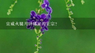 宣威火腿月饼哪家的正宗？
